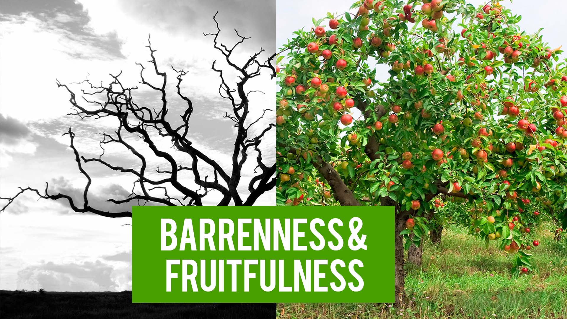 02. Blindness and Barrenness episode artwork